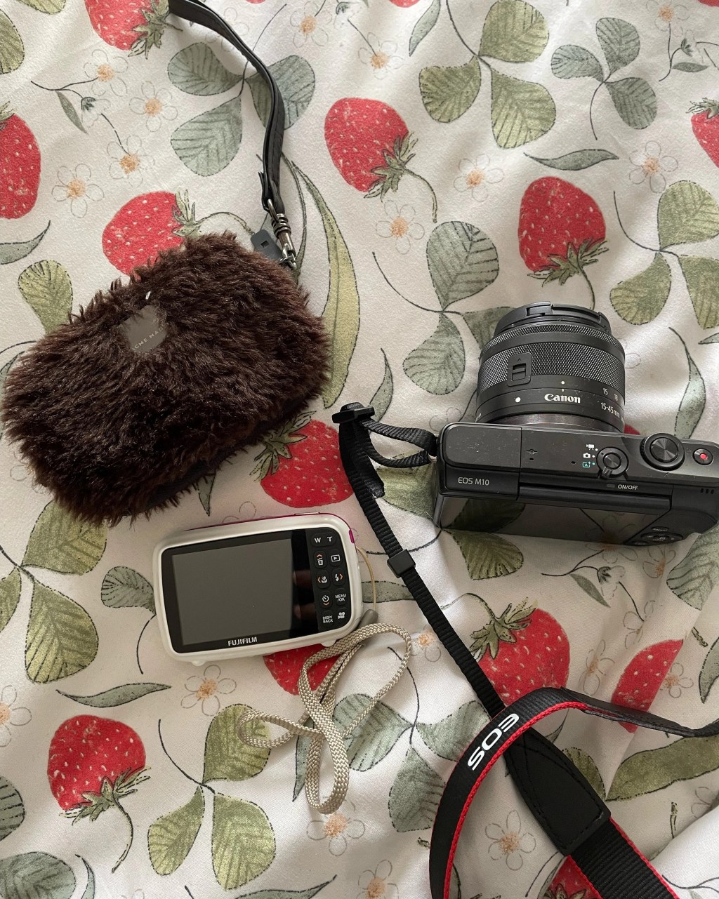 Photographs