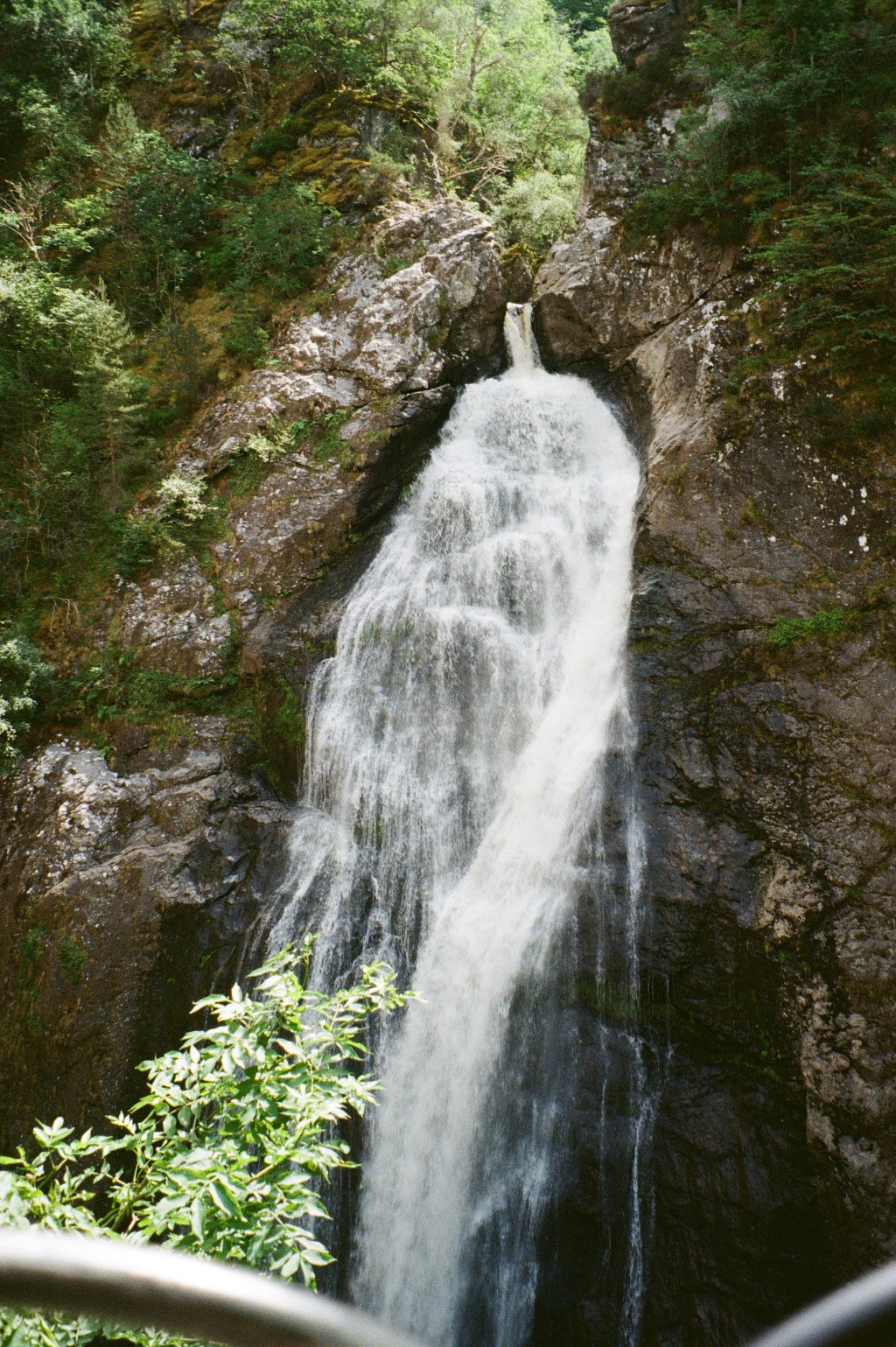 The Fall